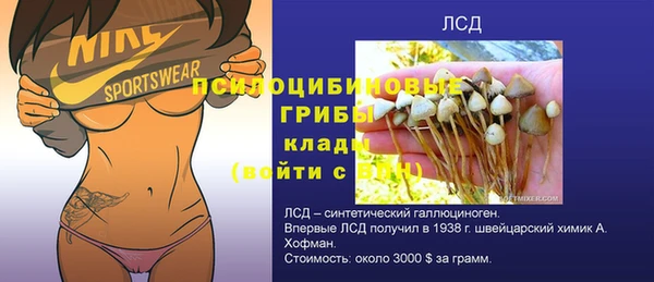 молекула духа Заволжье