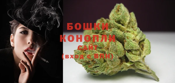 ПСИЛОЦИБИНОВЫЕ ГРИБЫ Елизово