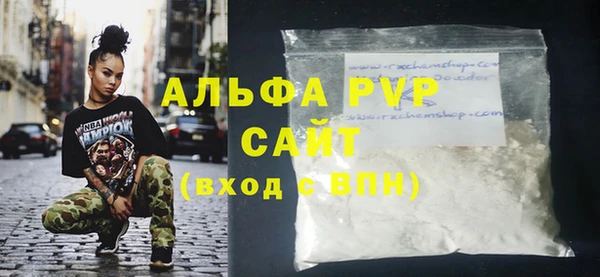 прущие грибы Заволжск